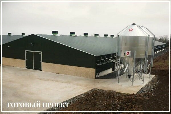 Этапы возведения птицефабрики от завода ВелесТент-вбр